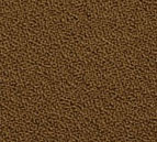 304  Kvadrat